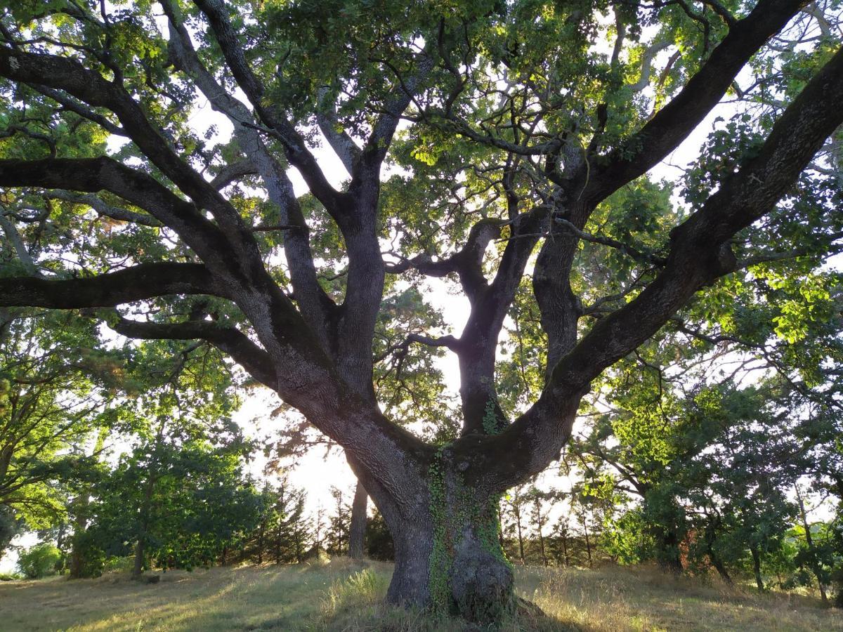 Agriturismo La Villetta San Lorenzo Nuovo Экстерьер фото