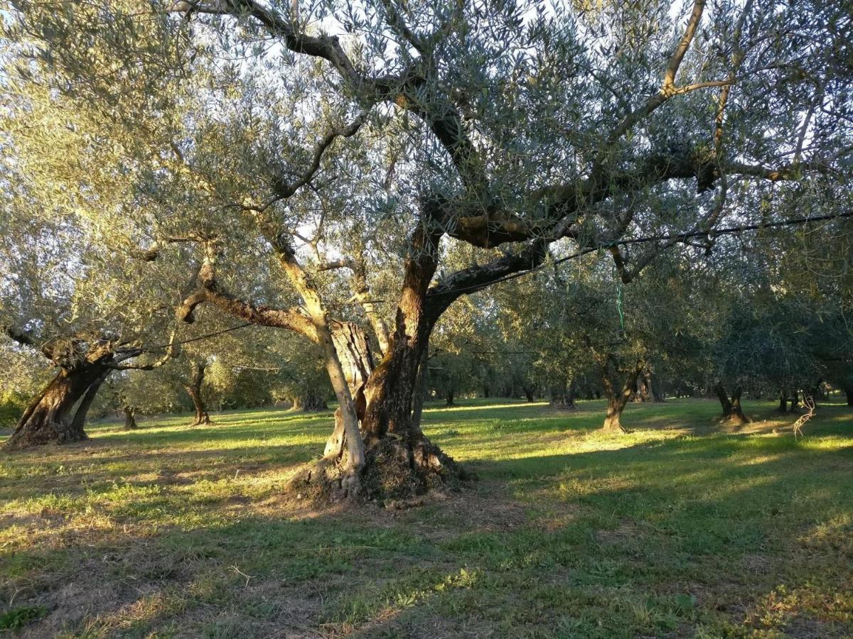 Agriturismo La Villetta San Lorenzo Nuovo Экстерьер фото