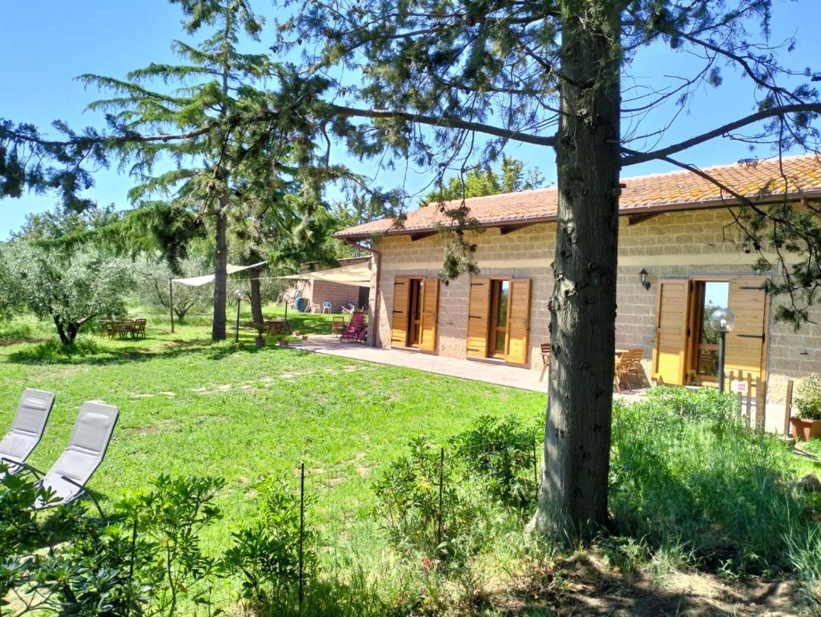 Agriturismo La Villetta San Lorenzo Nuovo Экстерьер фото