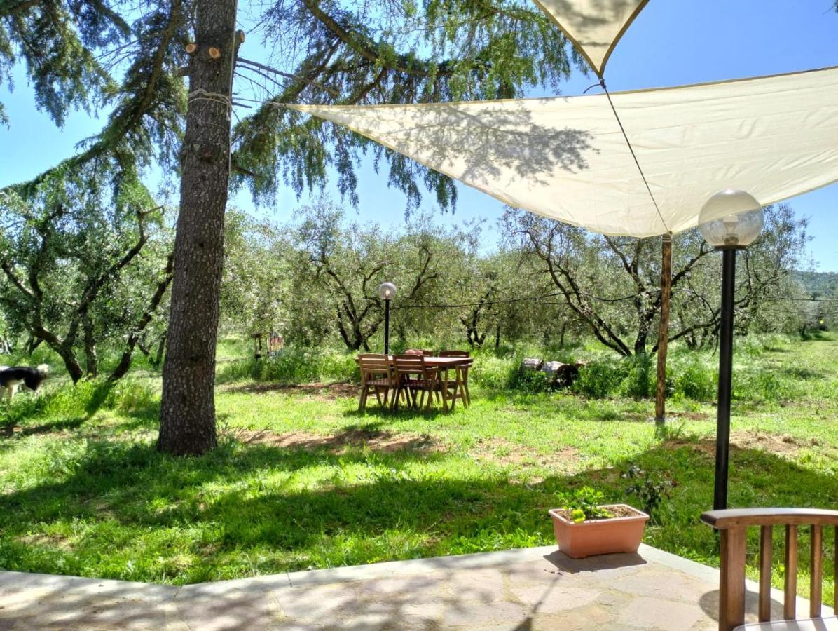 Agriturismo La Villetta San Lorenzo Nuovo Экстерьер фото