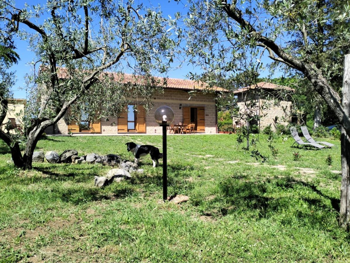 Agriturismo La Villetta San Lorenzo Nuovo Экстерьер фото