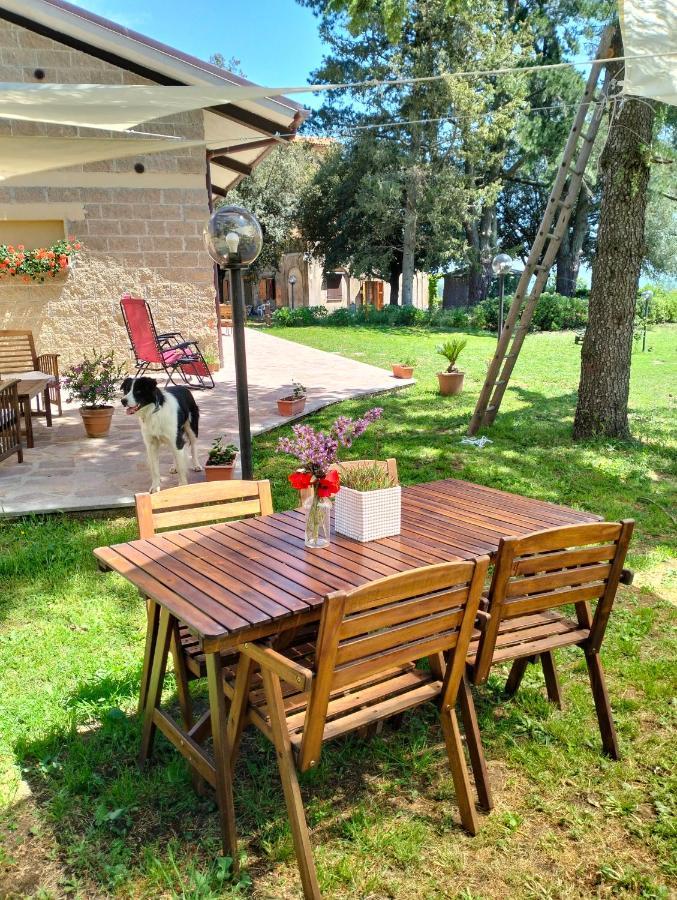 Agriturismo La Villetta San Lorenzo Nuovo Экстерьер фото
